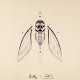 Insecte n°3 by Laully