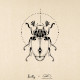 Insecte n°6 by Laully